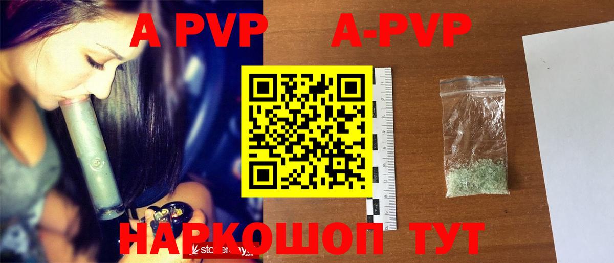 Alfa_PVP СК КРИС Горно-Алтайск