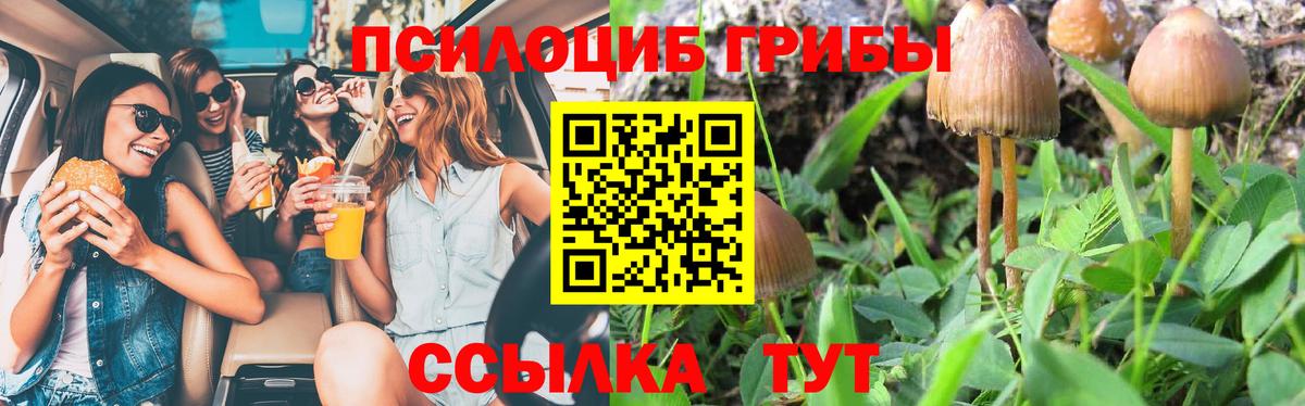 Псилоцибиновые грибы Cubensis  Галлюциногенные грибы GOLDEN TEACHER  Вход с VPN  где продают   Горно-Алтайск 