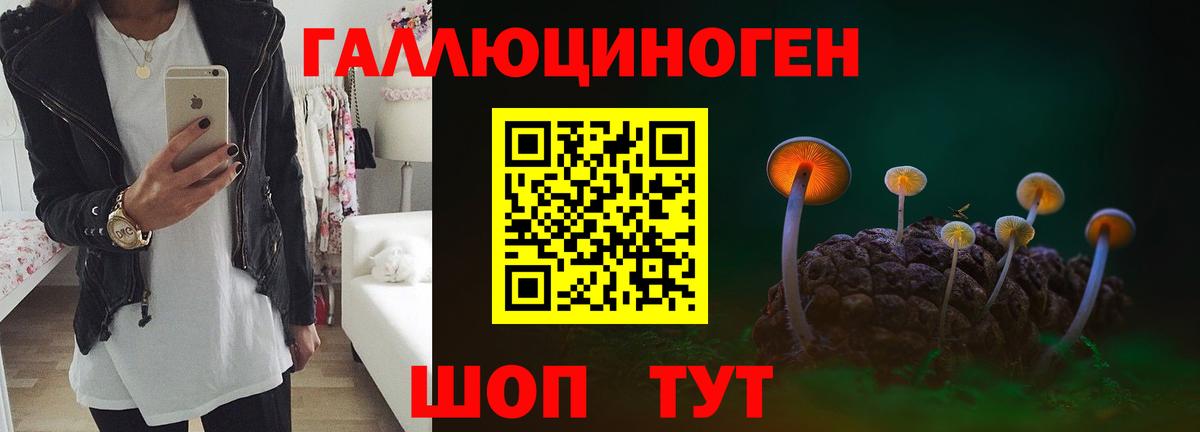 Псилоцибиновые грибы GOLDEN TEACHER Горно-Алтайск